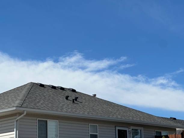 Best Chimney Flashing Repair  in Stockton, UT